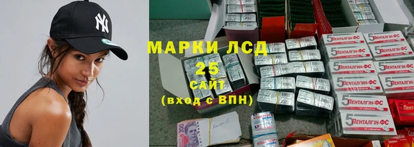 индика Армянск