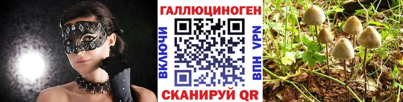 Псилоцибиновые грибы мицелий  Светлогорск 